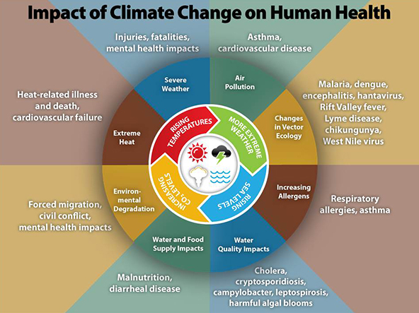 Chart illustrating the impact of climate change on human health