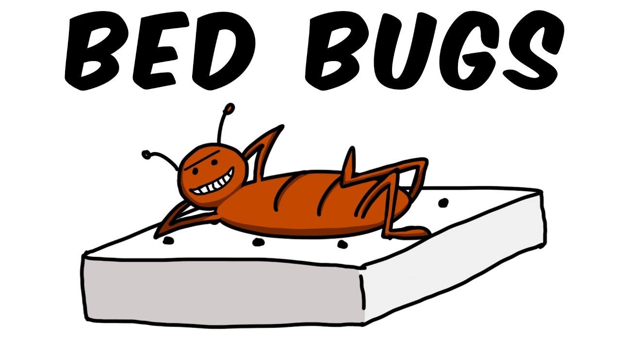 Cartoon illustration of bug on a bed