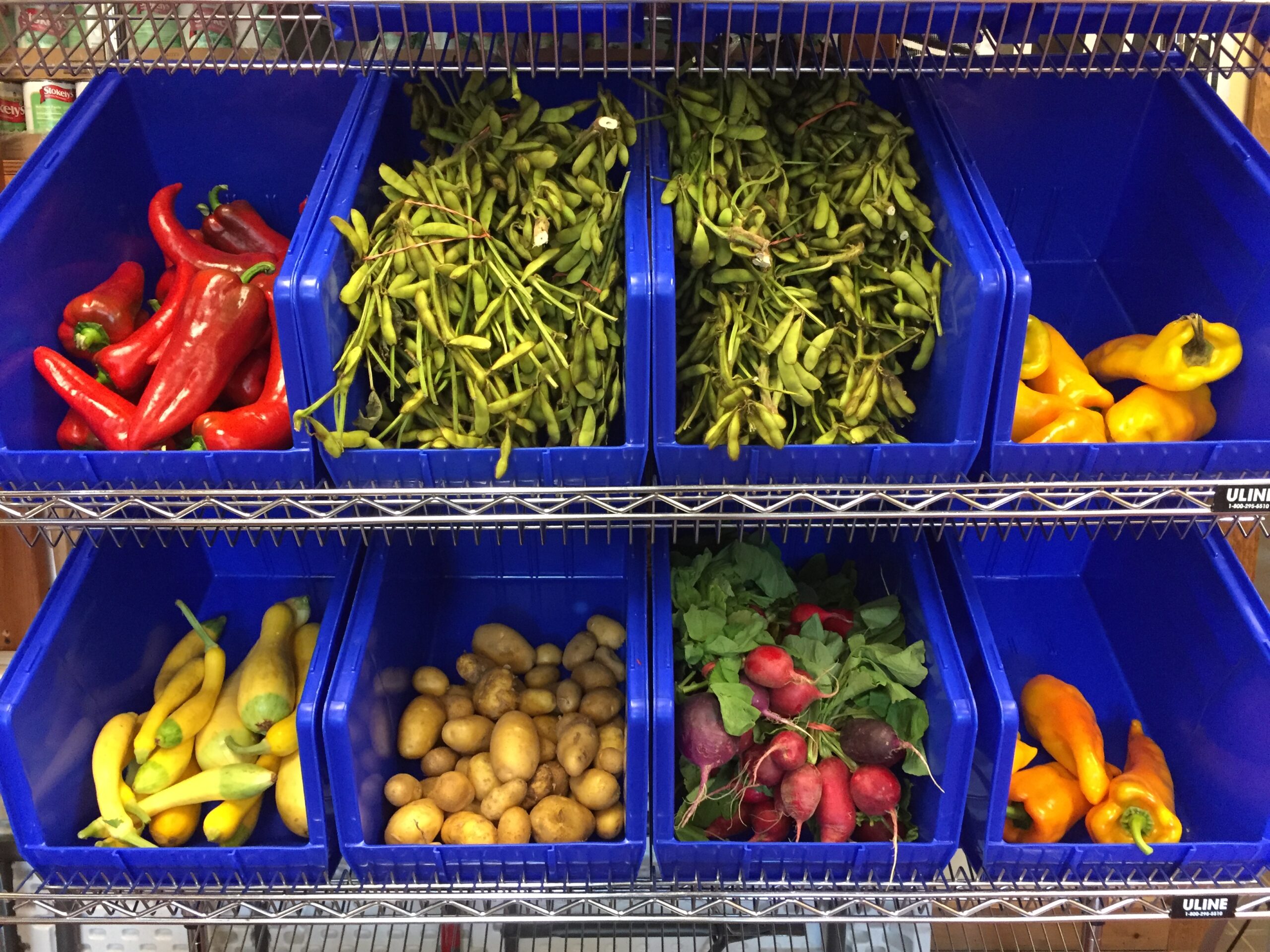 Eight blue bins full of produce lined up on wire shelving